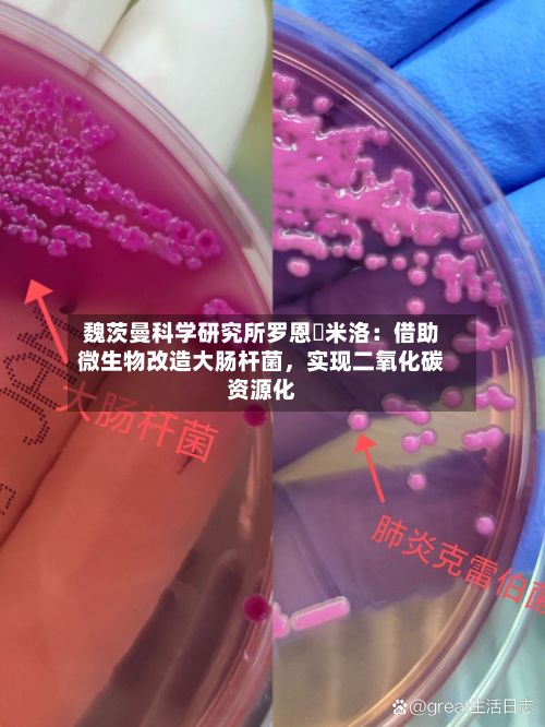 魏茨曼科学研究所罗恩・米洛：借助微生物改造大肠杆菌，实现二氧化碳资源化
