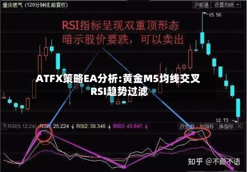 ATFX策略EA分析:黄金M5均线交叉 RSI趋势过滤-第3张图片