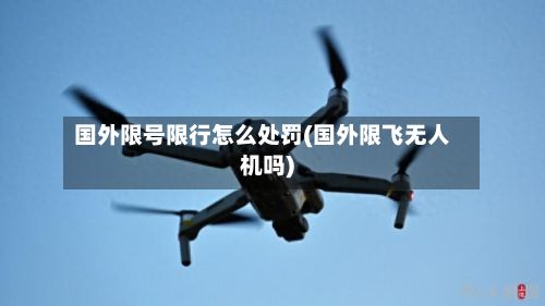 国外限号限行怎么处罚(国外限飞无人机吗)
