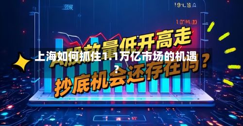 上海如何抓住1.1万亿市场的机遇？