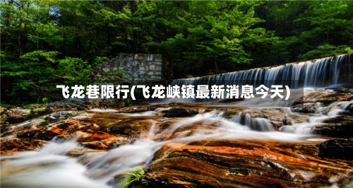 飞龙巷限行(飞龙峡镇最新消息今天)