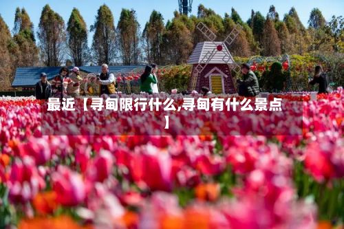 最近【寻甸限行什么,寻甸有什么景点】