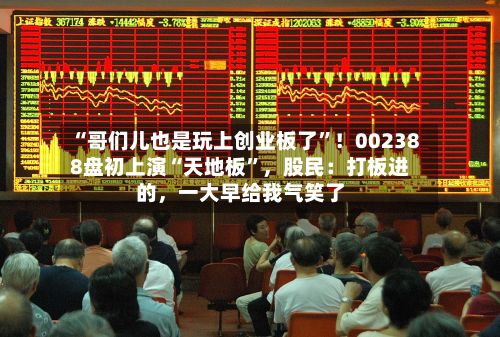 “哥们儿也是玩上创业板了”！002388盘初上演“天地板	”	，股民：打板进的，一大早给我气笑了-第2张图片