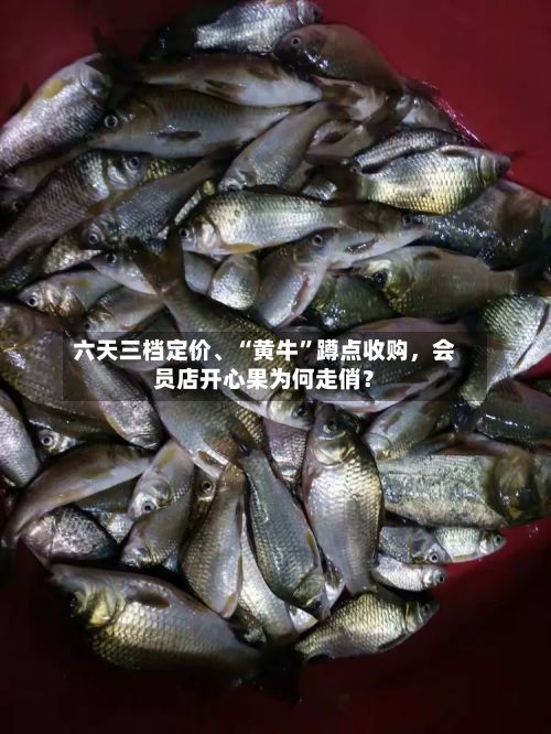 六天三档定价、“黄牛”蹲点收购，会员店开心果为何走俏？