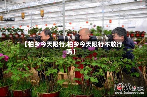 【柏乡今天限行,柏乡今天限行不放行吗】-第2张图片