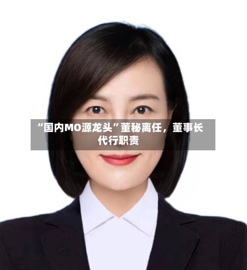 “国内MO源龙头	”董秘离任，董事长代行职责-第2张图片