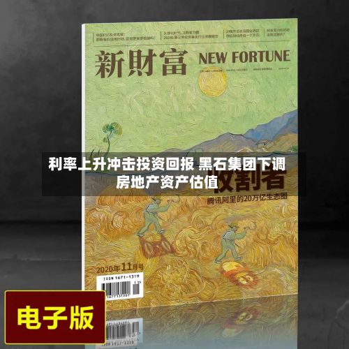 利率上升冲击投资回报 黑石集团下调房地产资产估值-第1张图片