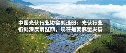 中国光伏行业协会刘译阳：光伏行业仍处深度调整期，现在是要减量发展-第3张图片