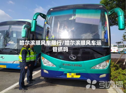 哈尔滨顺风车限行/哈尔滨顺风车运管抓吗