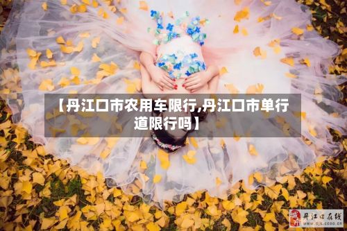 【丹江口市农用车限行,丹江口市单行道限行吗】