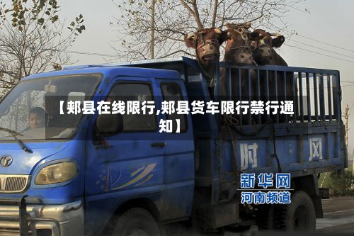 【郏县在线限行,郏县货车限行禁行通知】-第2张图片