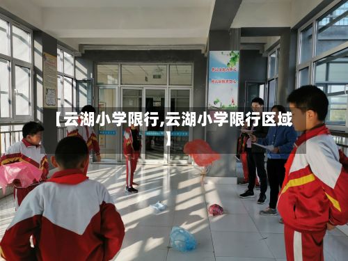 【云湖小学限行,云湖小学限行区域】-第3张图片