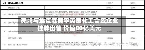 壳牌与埃克森美孚英国化工合资企业挂牌出售 价值80亿美元-第1张图片