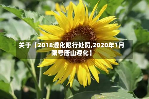 关于【2018遵化限行处罚,2020年1月限号唐山遵化】-第2张图片