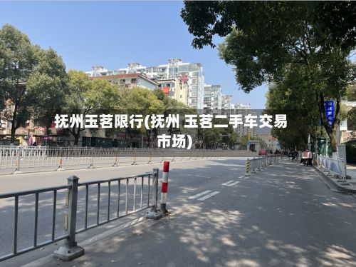 抚州玉茗限行(抚州 玉茗二手车交易市场)-第2张图片