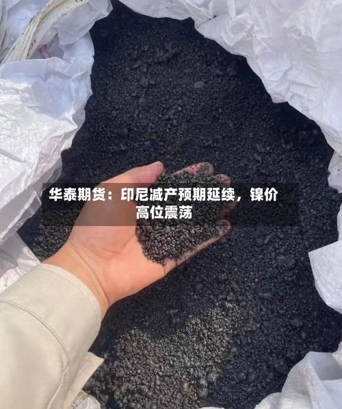 华泰期货：印尼减产预期延续，镍价高位震荡-第2张图片