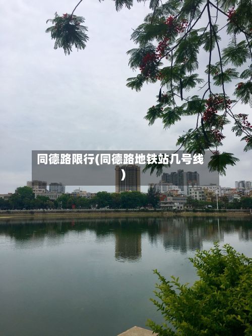 同德路限行(同德路地铁站几号线)-第2张图片