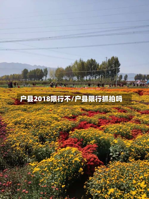 户县2018限行不/户县限行抓拍吗