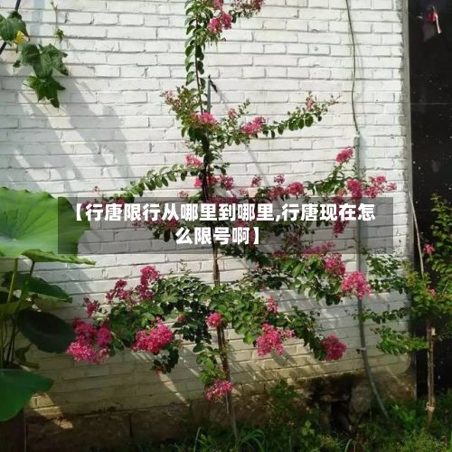 【行唐限行从哪里到哪里,行唐现在怎么限号啊】