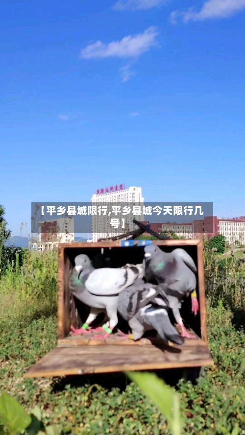 【平乡县城限行,平乡县城今天限行几号】