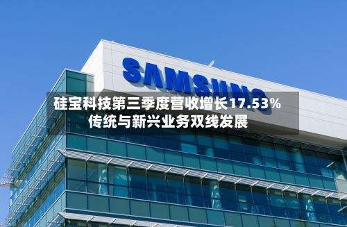硅宝科技第三季度营收增长17.53% 传统与新兴业务双线发展