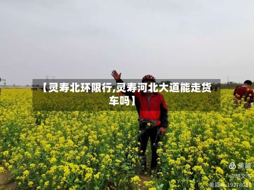 【灵寿北环限行,灵寿河北大道能走货车吗】-第3张图片