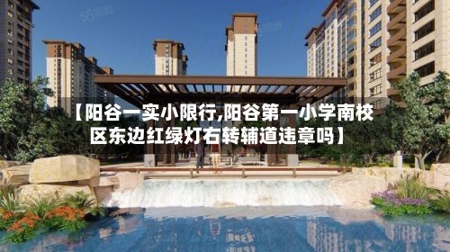【阳谷一实小限行,阳谷第一小学南校区东边红绿灯右转辅道违章吗】-第2张图片