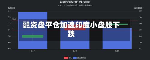 融资盘平仓加速印度小盘股下跌