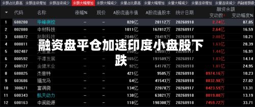 融资盘平仓加速印度小盘股下跌-第2张图片