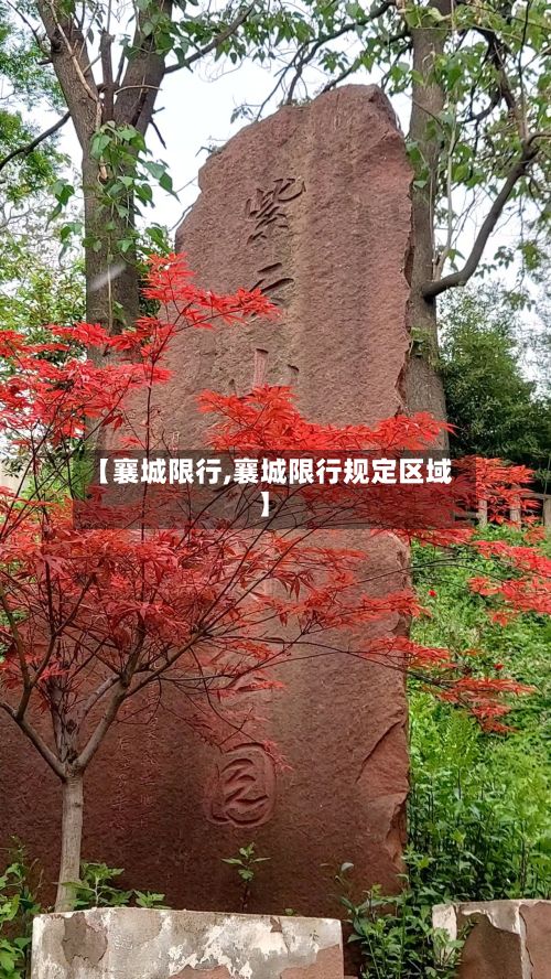 【襄城限行,襄城限行规定区域】