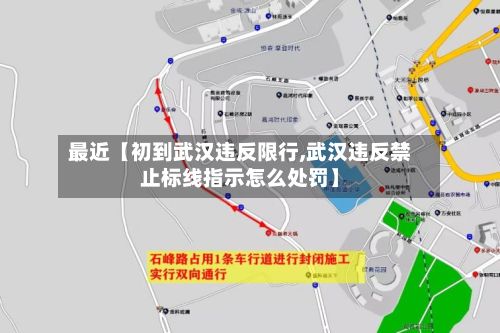 最近【初到武汉违反限行,武汉违反禁止标线指示怎么处罚】-第2张图片