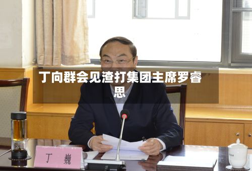 丁向群会见渣打集团主席罗睿思