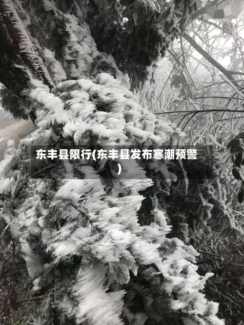 东丰县限行(东丰县发布寒潮预警)
