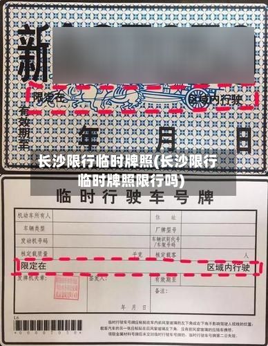 长沙限行临时牌照(长沙限行临时牌照限行吗)-第2张图片