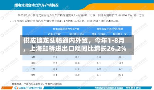 供应链龙头畅通内外贸，今年1-8月，上海虹桥进出口额同比增长26.2%