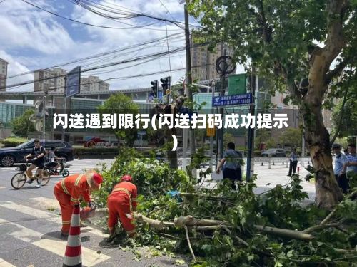 闪送遇到限行(闪送扫码成功提示)