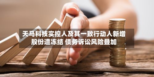 天马科技实控人及其一致行动人新增股份遭冻结 债务诉讼风险叠加-第2张图片
