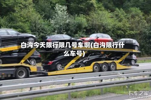白沟今天限行限几号车啊(白沟限行什么车号)-第2张图片