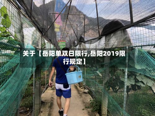 关于【岳阳单双日限行,岳阳2019限行规定】-第3张图片