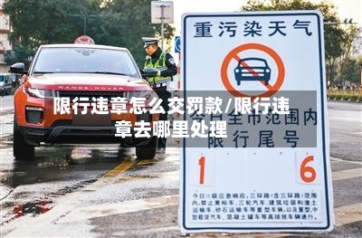 限行违章怎么交罚款/限行违章去哪里处理