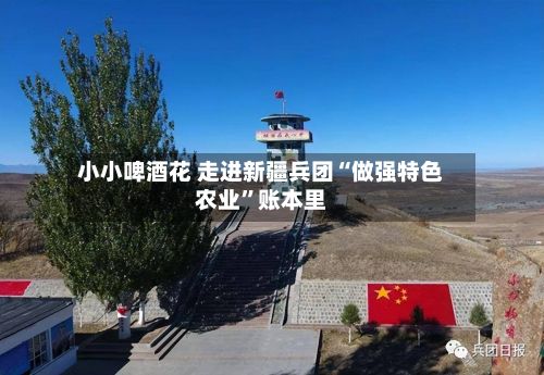 小小啤酒花 走进新疆兵团“做强特色农业”账本里