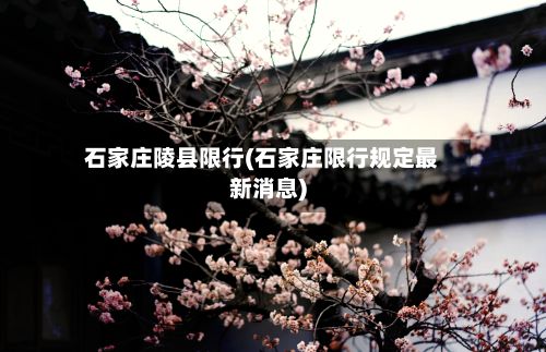石家庄陵县限行(石家庄限行规定最新消息)