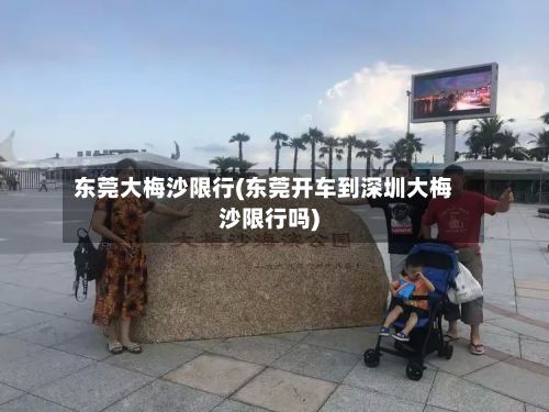 东莞大梅沙限行(东莞开车到深圳大梅沙限行吗)-第2张图片