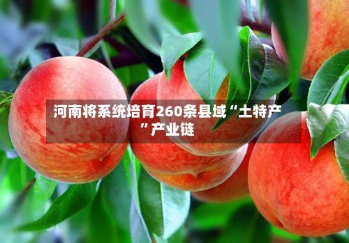河南将系统培育260条县域“土特产”产业链-第2张图片