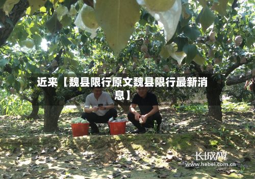 近来【魏县限行原文魏县限行最新消息】-第2张图片