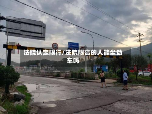 法院认定限行/法院限高的人能坐动车吗-第3张图片