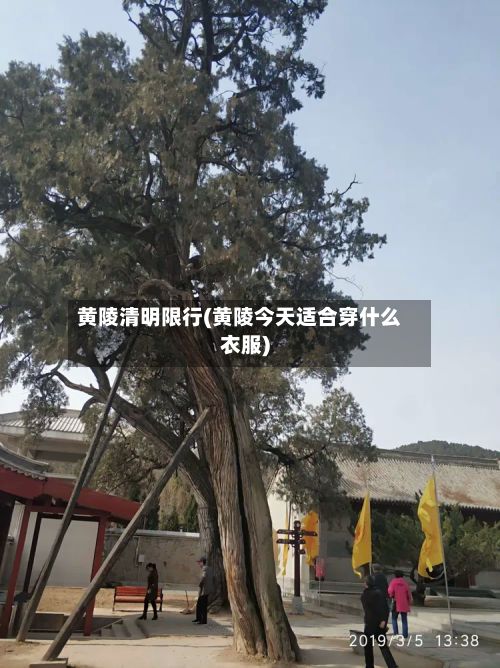 黄陵清明限行(黄陵今天适合穿什么衣服)