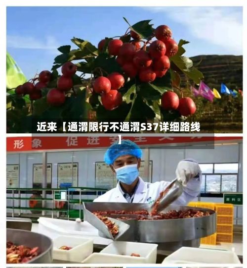 近来【通渭限行不通渭S37详细路线】-第2张图片
