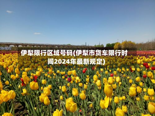 伊犁限行区域号码(伊犁市货车限行时间2024年最新规定)-第2张图片