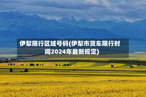 伊犁限行区域号码(伊犁市货车限行时间2024年最新规定)